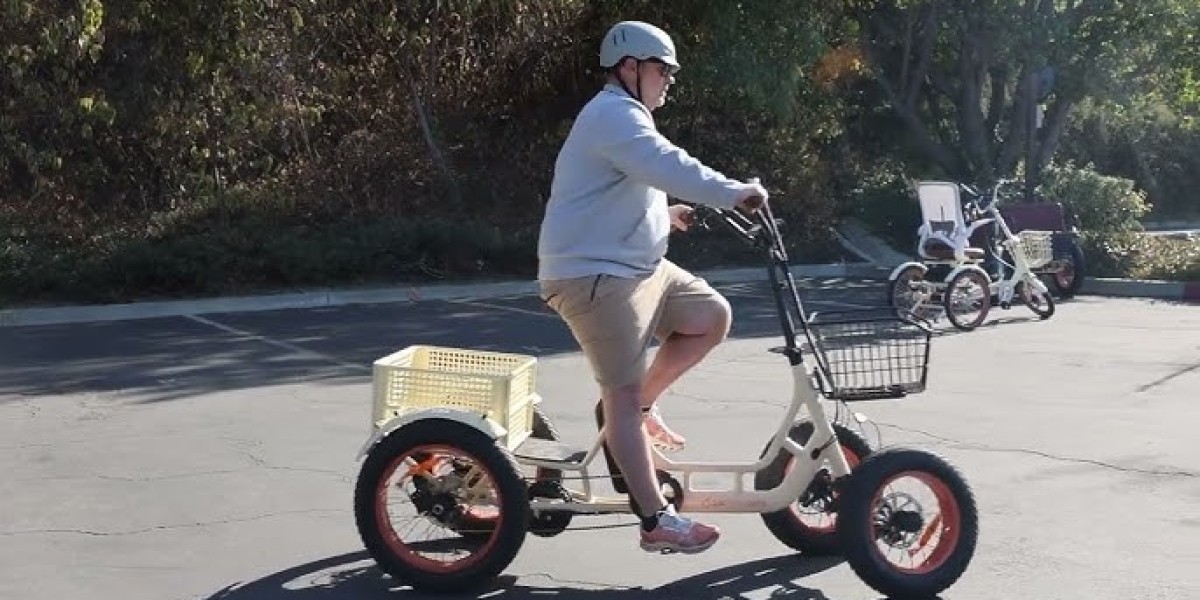 Quadricycle and Tricycle Market 2030 Competitive Landscape