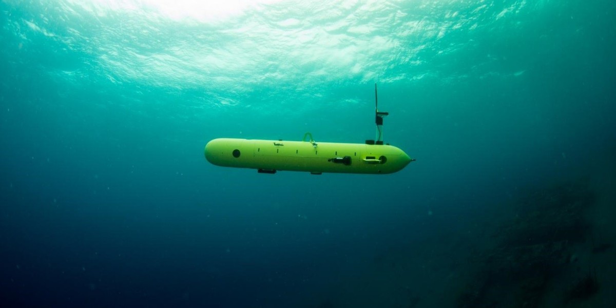 Unmanned Underwater Vehicles Market Share, Leading Players, and Future Outlook