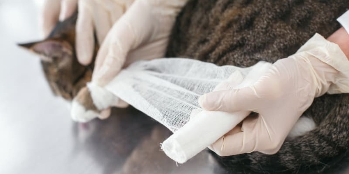 The Future of Healing: 3 Emerging Trends in Animal Wound Care