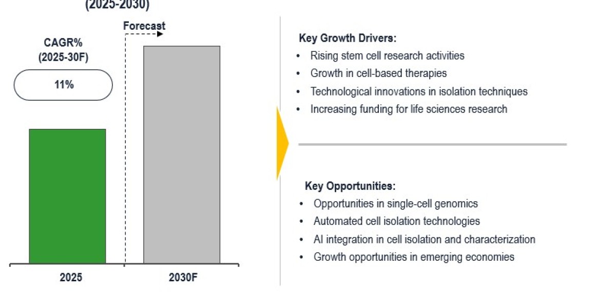 Global Cell Isolation Market to see 11% CAGR due to high-throughput research workflows by 2030