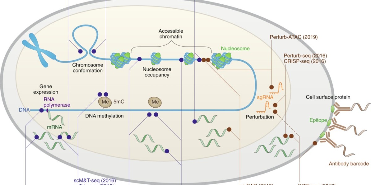 Growing Single cell omics Market : An Analysis of Trends and Drivers