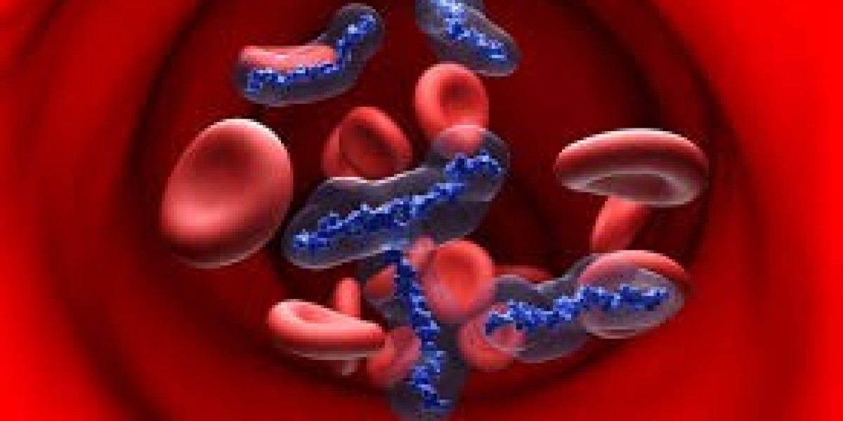 Anticoagulants Market insights uncovering patient preferences and treatment adherence patterns affecting industry trends