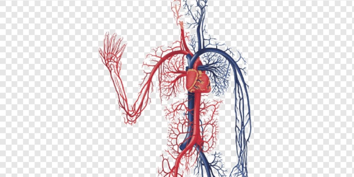 Mending the Pipeline: How Vascular Patches Are Revolutionizing Surgical Care