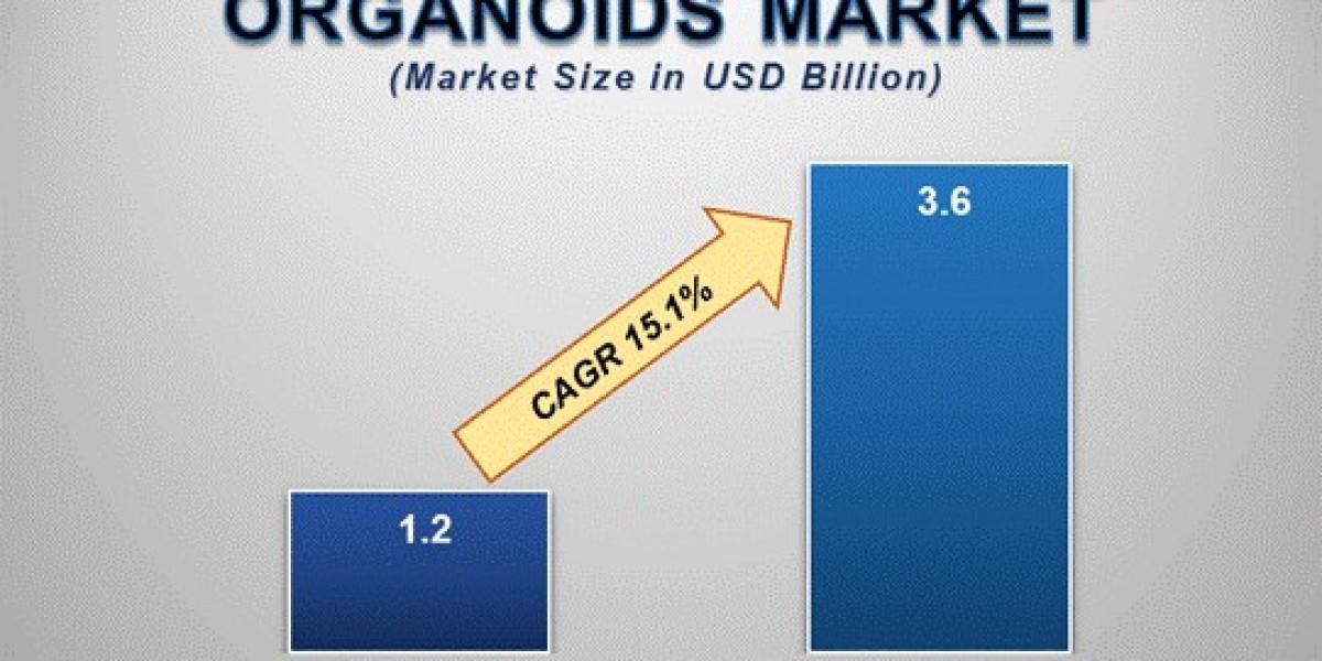 Organoids Market Insights: Growth, Share, Value, Size, and Analysis