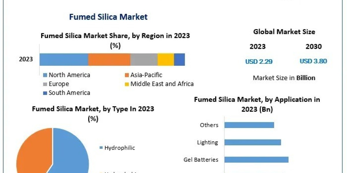 Fumed Silica Market Trends, Competitive Analysis, Forecast 2024–2030