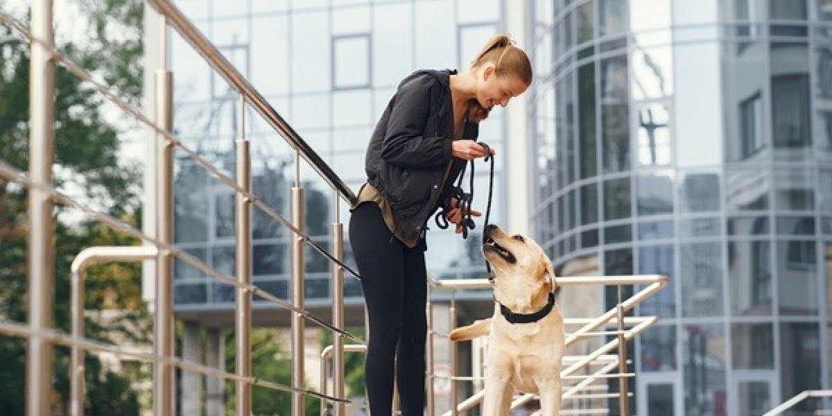 The Ultimate Guide to Keeping Your Pet Safe and Sound