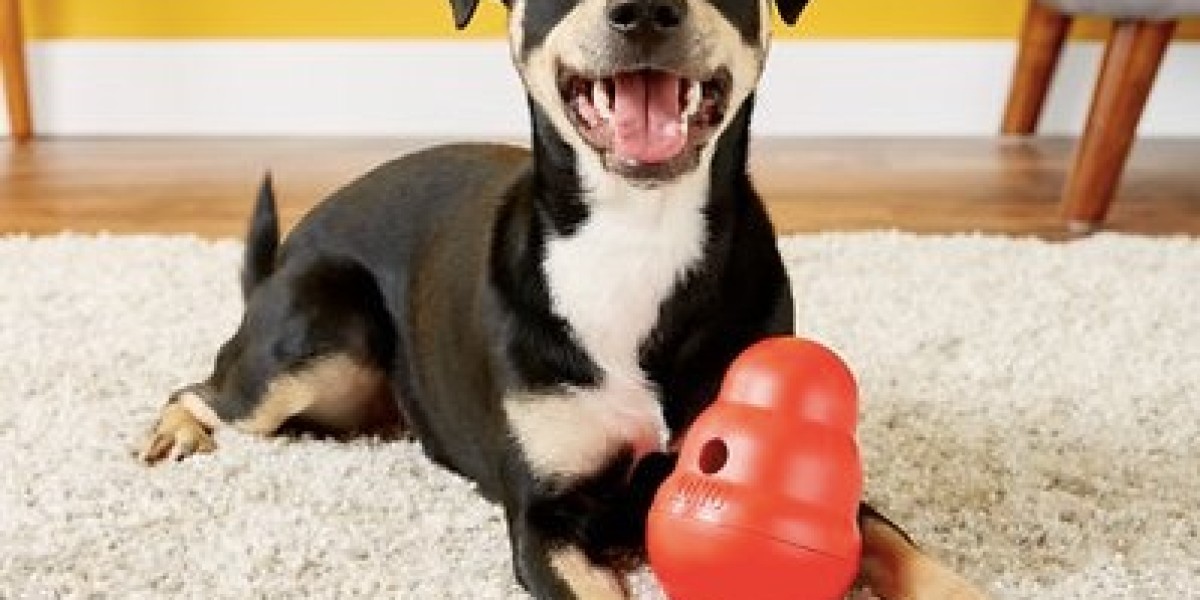 KONG Wobbler – The Fun and Smart Dog Toy
