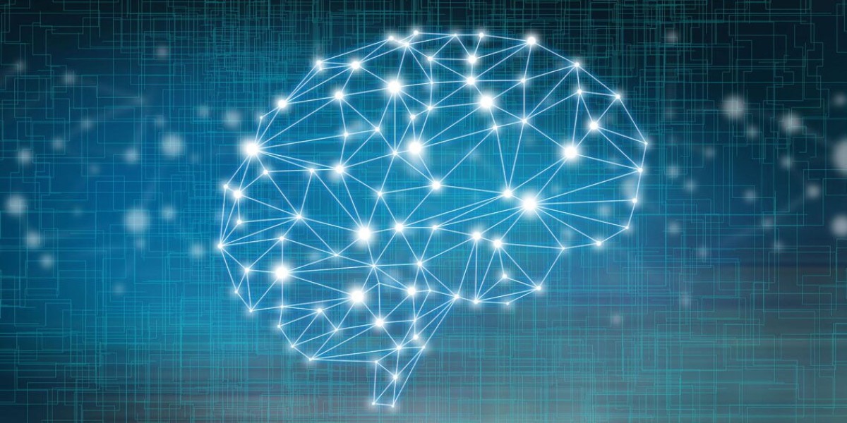 AI in Networks Market: Size, Trends, and Strategic Outlook 2025-2032
