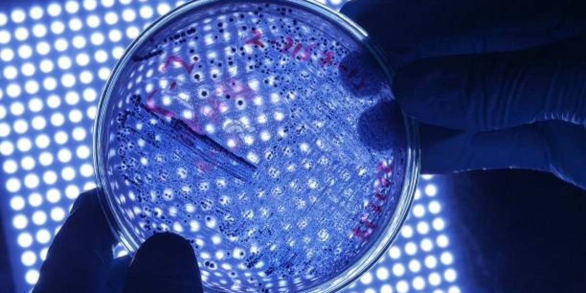 Legionella Testing Market Size, Trend Analysis, and Forecast Scope