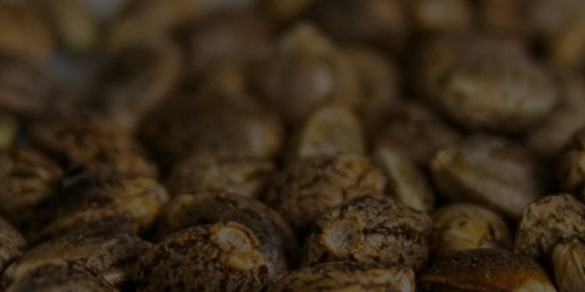 The Modern Grower's Guide to Buying Exotic Cannabis Seeds Online