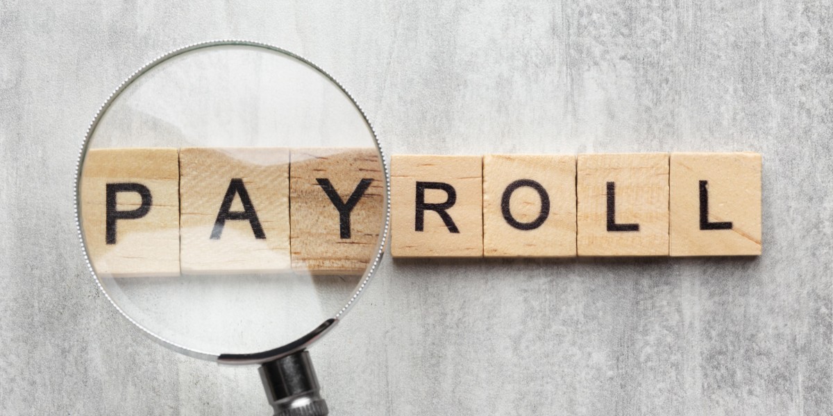 Why Payroll Software Is a Game-Changer for Modern Businesses