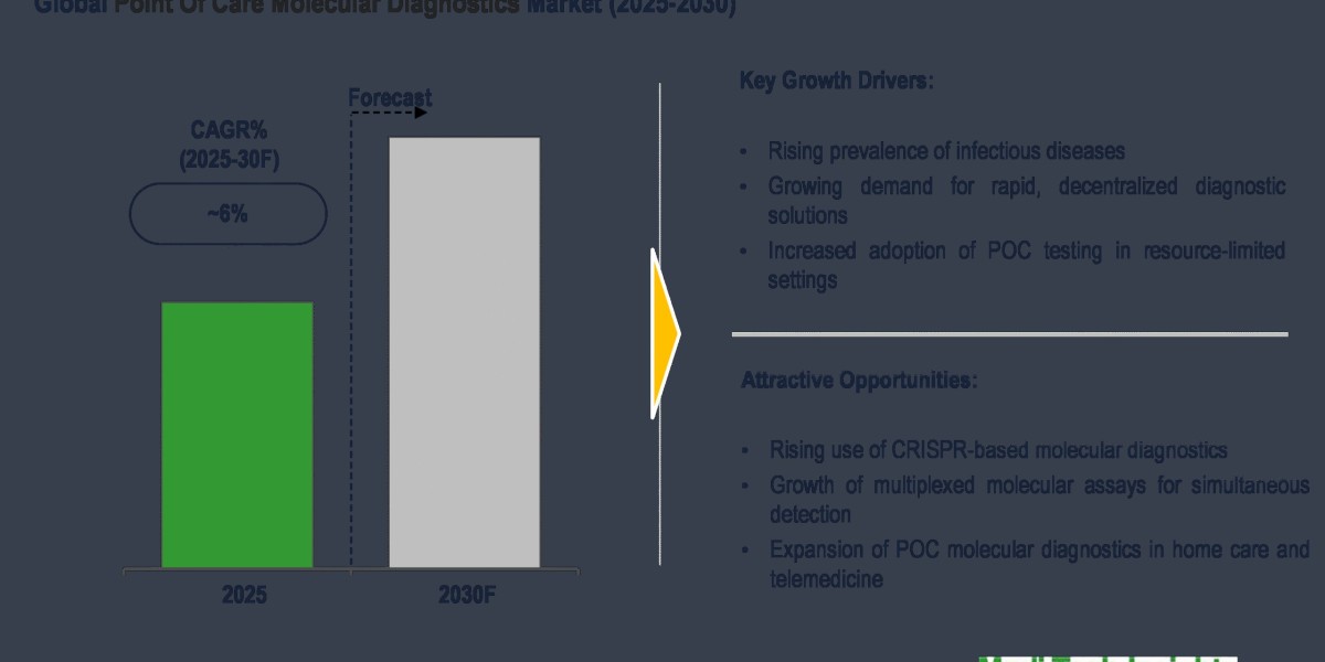 Global Point of Care Molecular Diagnostics Market registers 6% CAGR due to high demand 2030