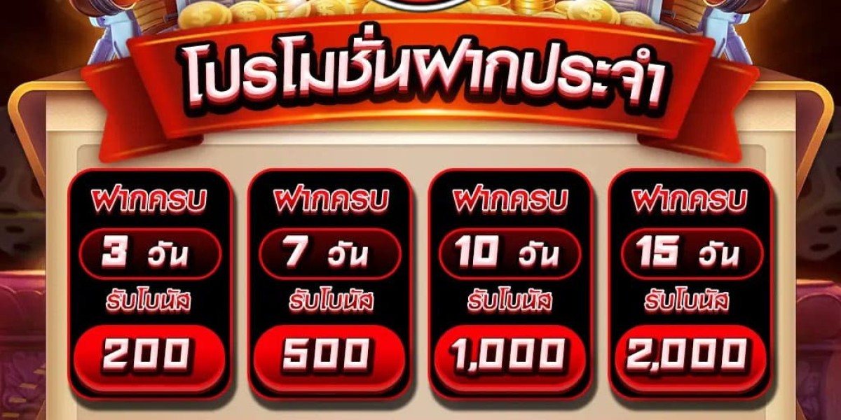 The Player’s Journey at pgzeed Online Casino