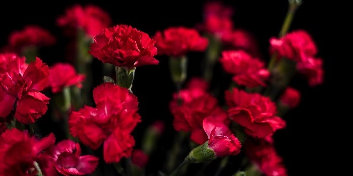 Red Carnation Symbolism in Ceremonies