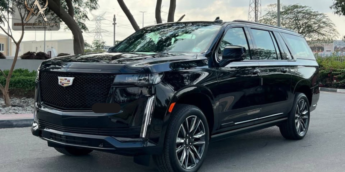 Black Car Service near Palm Beach Gardens, FL | AE Limo Service