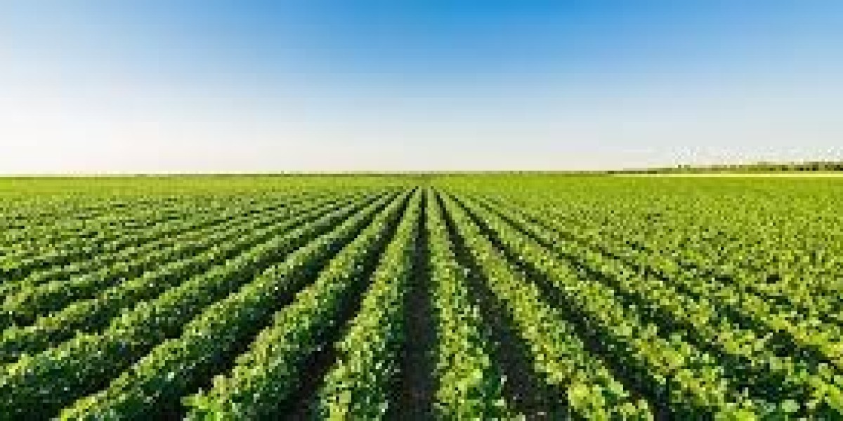 Global Crop Reinsurance Market 2030 Industry Growth Report