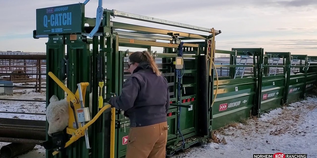 Cattle Squeeze Market Trends Shaping Modern Livestock Management and Animal Welfare Practices