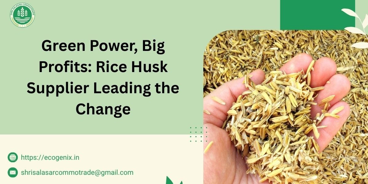 Green Power, Big Profits: Rice Husk Supplier Leading the Change