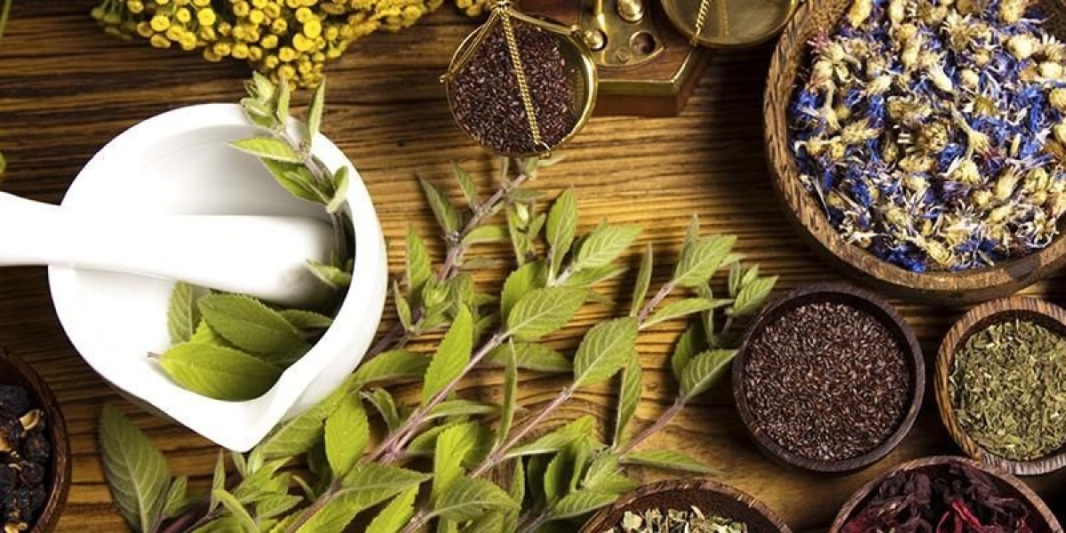 Herbal Medicinal Products Market Size, Trends, and Growth Forecast 2025-2032