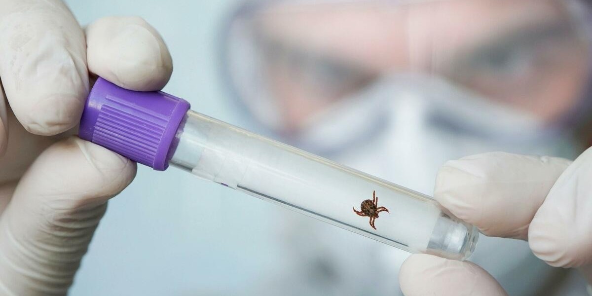 Lyme Disease Diagnostics Market: Innovations, Challenges, and Outlook
