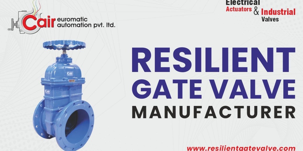 Ahmedabad’s Leading Gate Valve Manufacturer for Flow Control