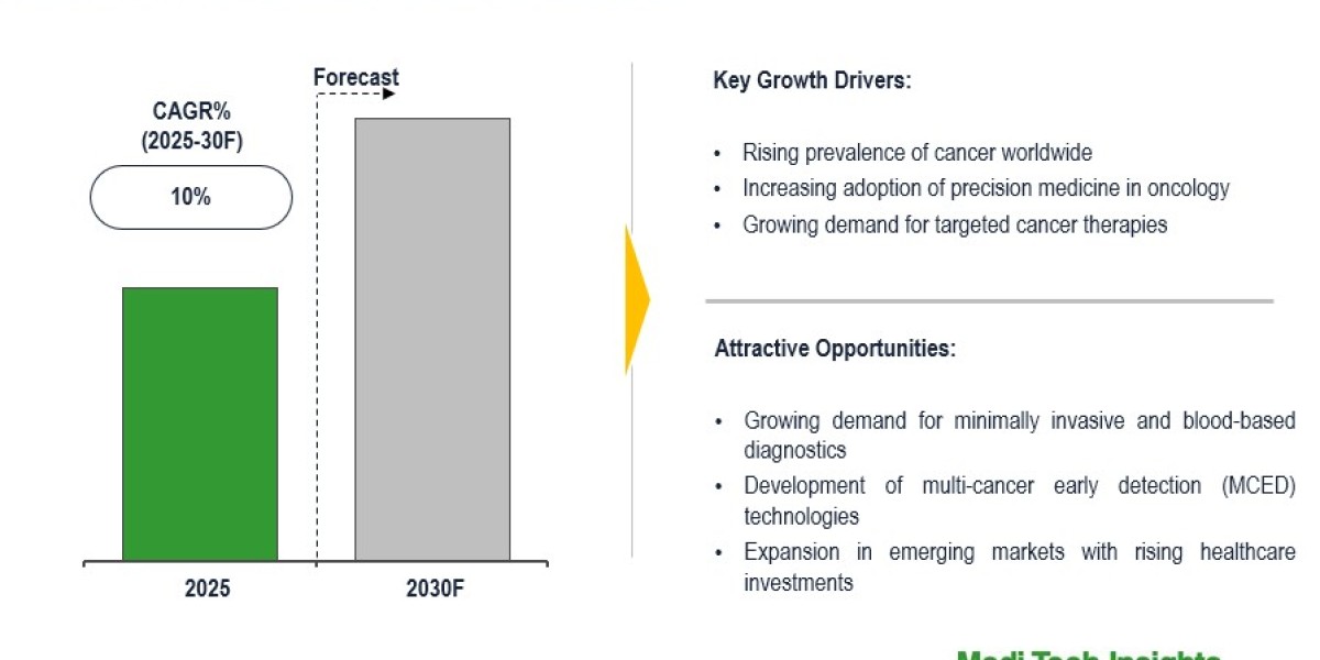 Global Oncology Companion Diagnostic Market Sees 10% CAGR, Empowering Treatments by 2030