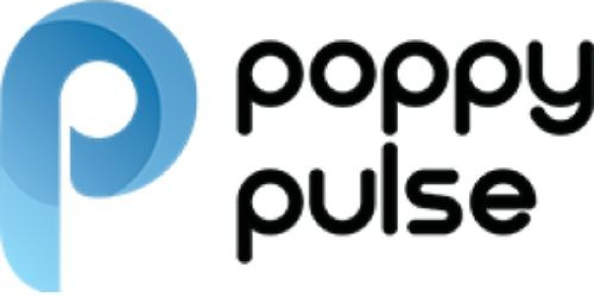 Poppy Pulse: A Leading Performance Marketing Company in Noida Helping Brands Scale with Precision