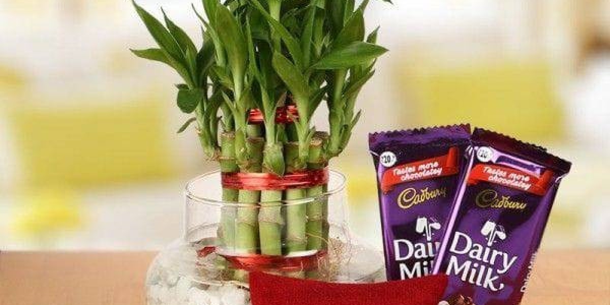 Celebrate Eco-Friendly Raksha Bandhan Send Rakhi with Plants Online in India