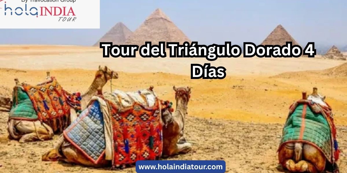 Tour del Triángulo Dorado 4 Días: Una Experiencia Completa en el Corazón de la India