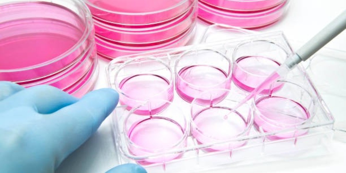 Cell Culture Market Insights: Key Applications, Segments & Emerging Trends