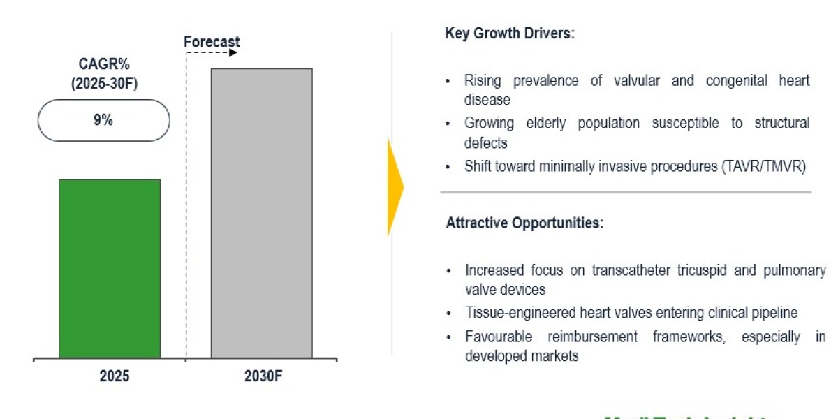 Global Structural Heart Devices Market predicted at 9% CAGR growth with elderly-driven demand 2030