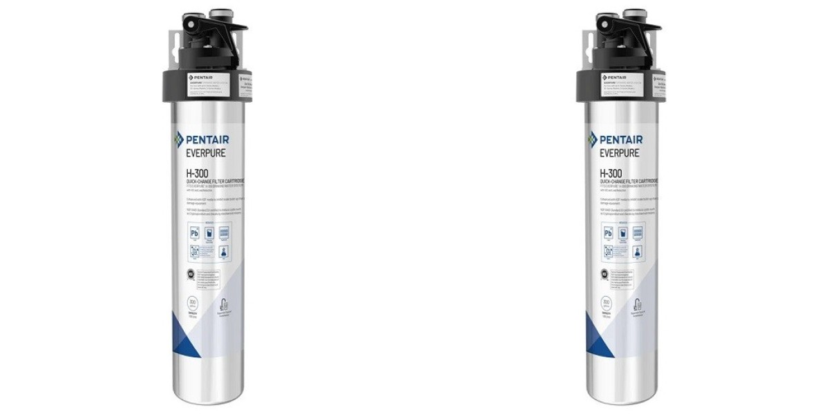 What Contaminants Does the Everpure H 300 Remove?