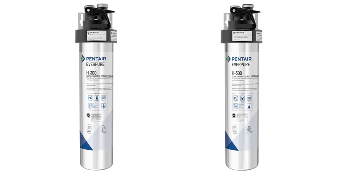 Eco-Friendly Living with an Everpure Water Filter