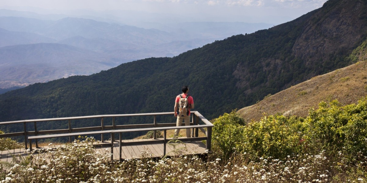 Discover the Best Places to Travel in Argentina for Wildlife & Nature Lovers