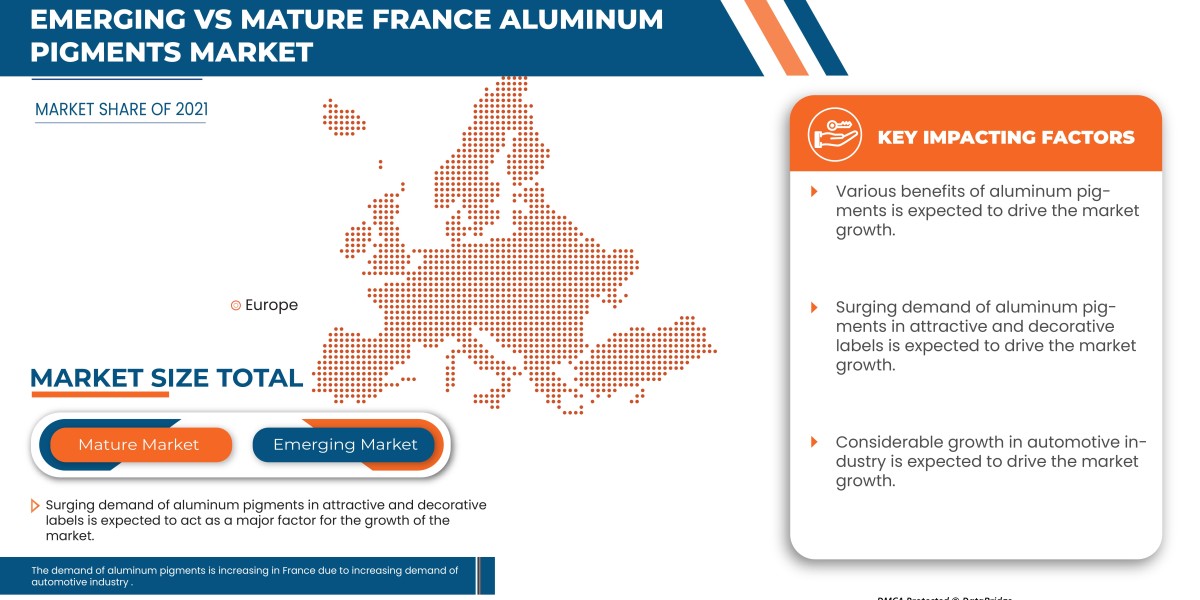 France Aluminum Pigments Market Size, Share, Trends, Demand, Future Growth, Challenges and Competitive Analysis