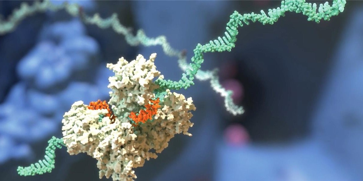 RNA Therapeutics Market: Size, Trends, Opportunities, and Strategic Outlook