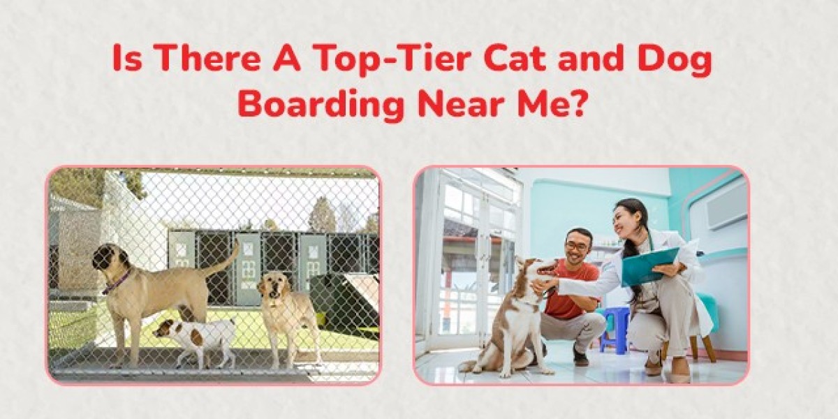 Cat Boarding Near Me | CGS Hospital