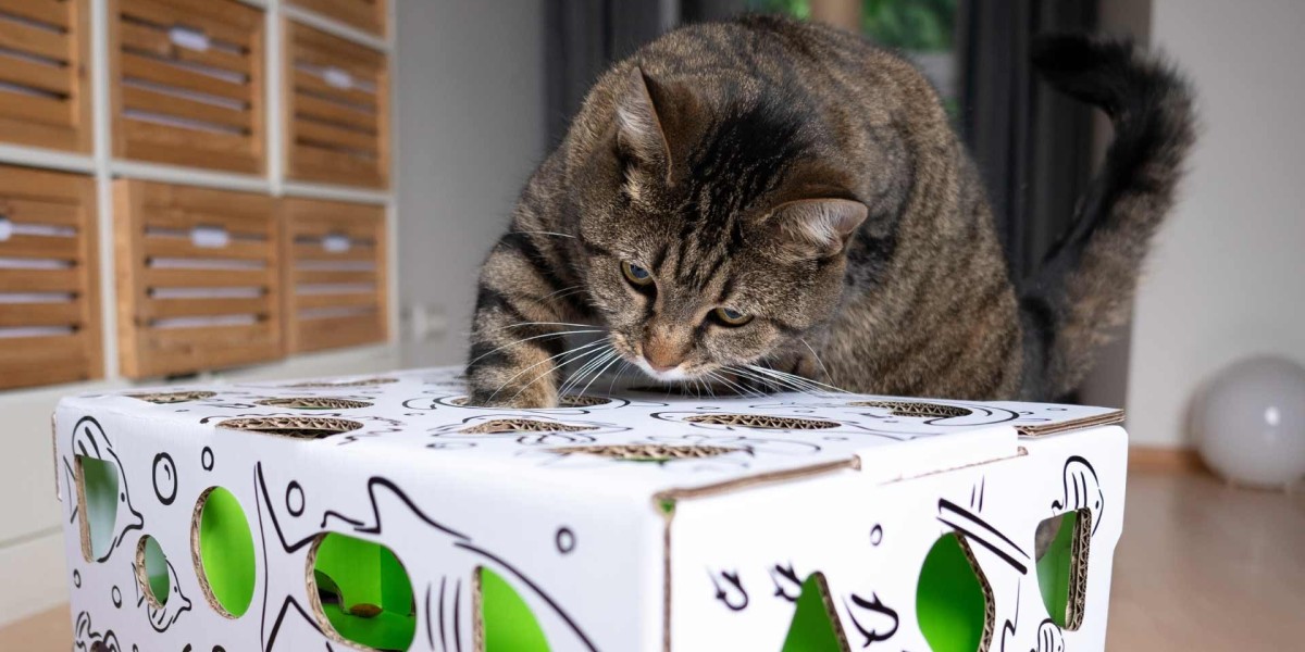 Cat Amazing Puzzle Feeder: A Fun Way to Feed Cats