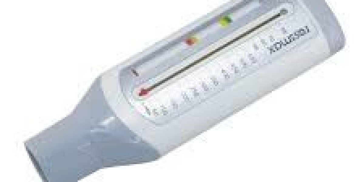 Peak Flow Meter Market Market Value Assessment