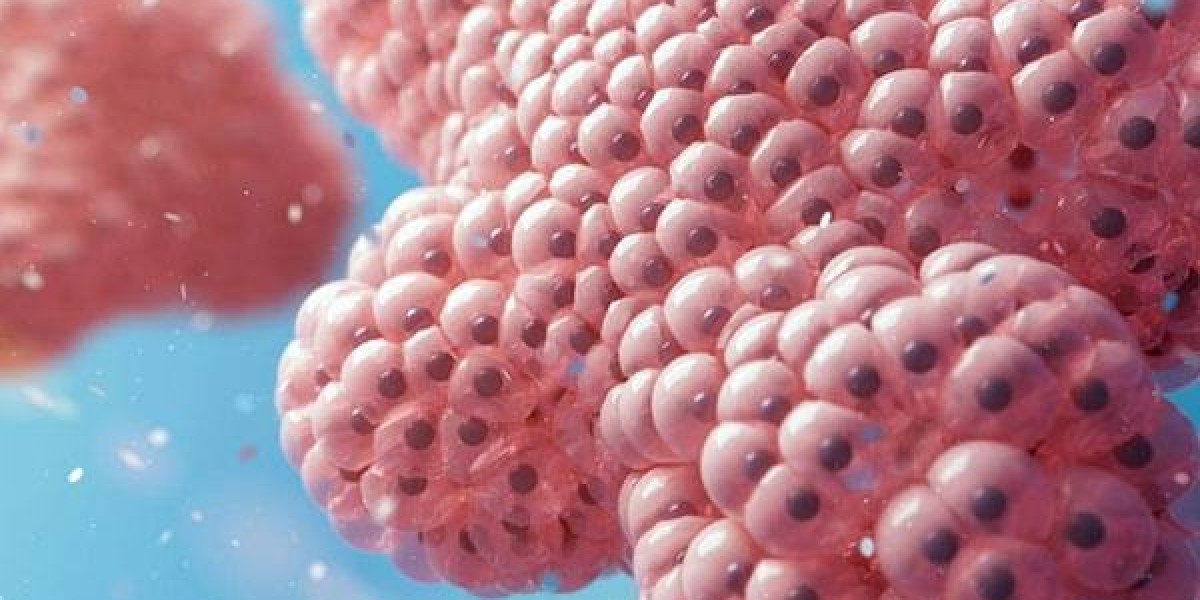 Organoids Market Forecast Predicting Growth Trajectories and Technological Impact Through 2030