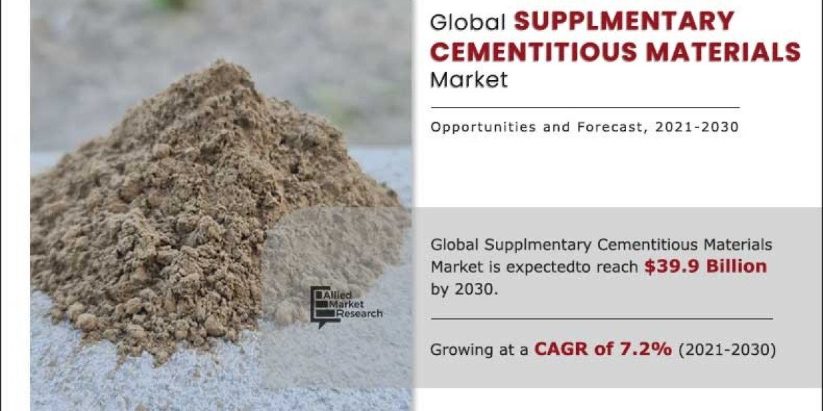 Supplementary Cementitious Materials Market Dynamics and Future Prospects, 2030