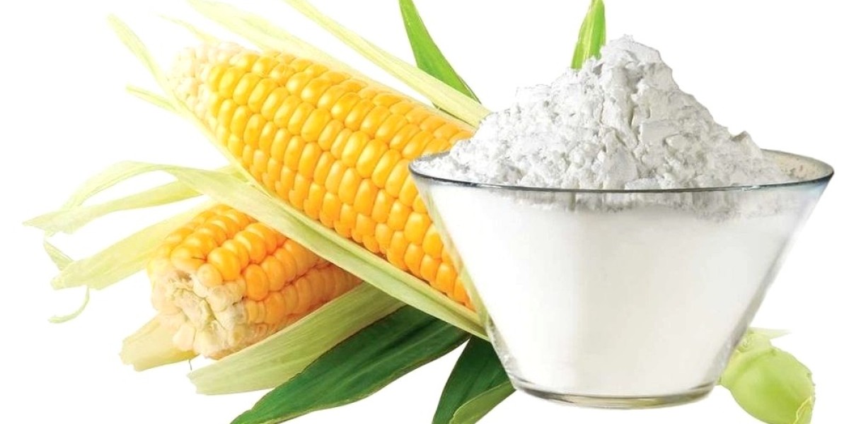 Native Starch Market Challenges Impacting Growth Across Food, Pharmaceutical, and Industrial Applications Globally