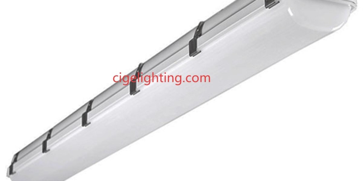 Cigelighting’s Led Waterproof Light Factory Commitment