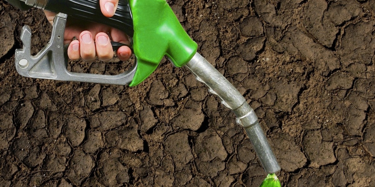 Biofuel Testing Services Market Faces Risks from Standardization Issues, Supply Chain, and Competition