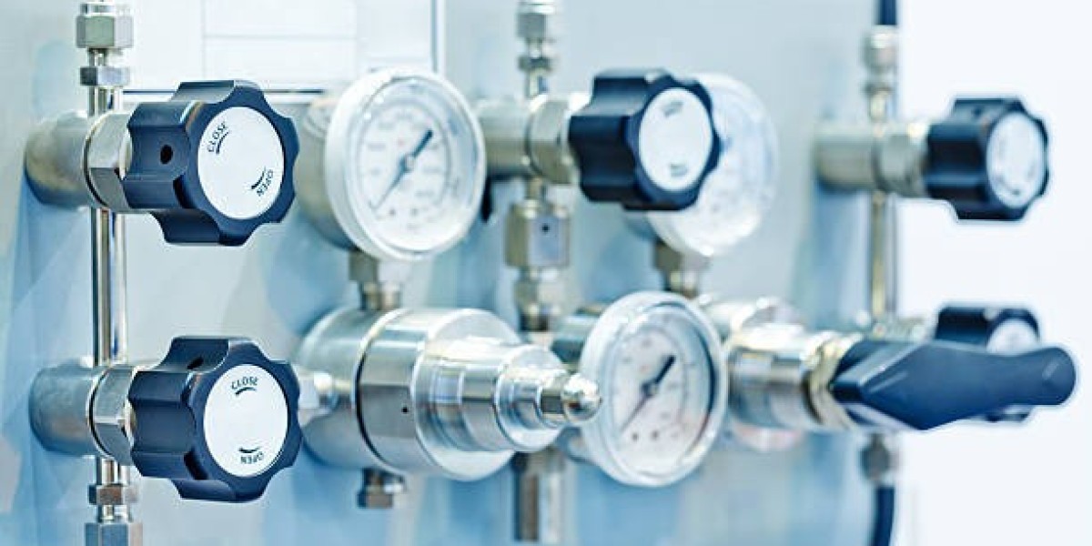 Are Diaphragm Pressure Gauges Good for Sanitary Applications?