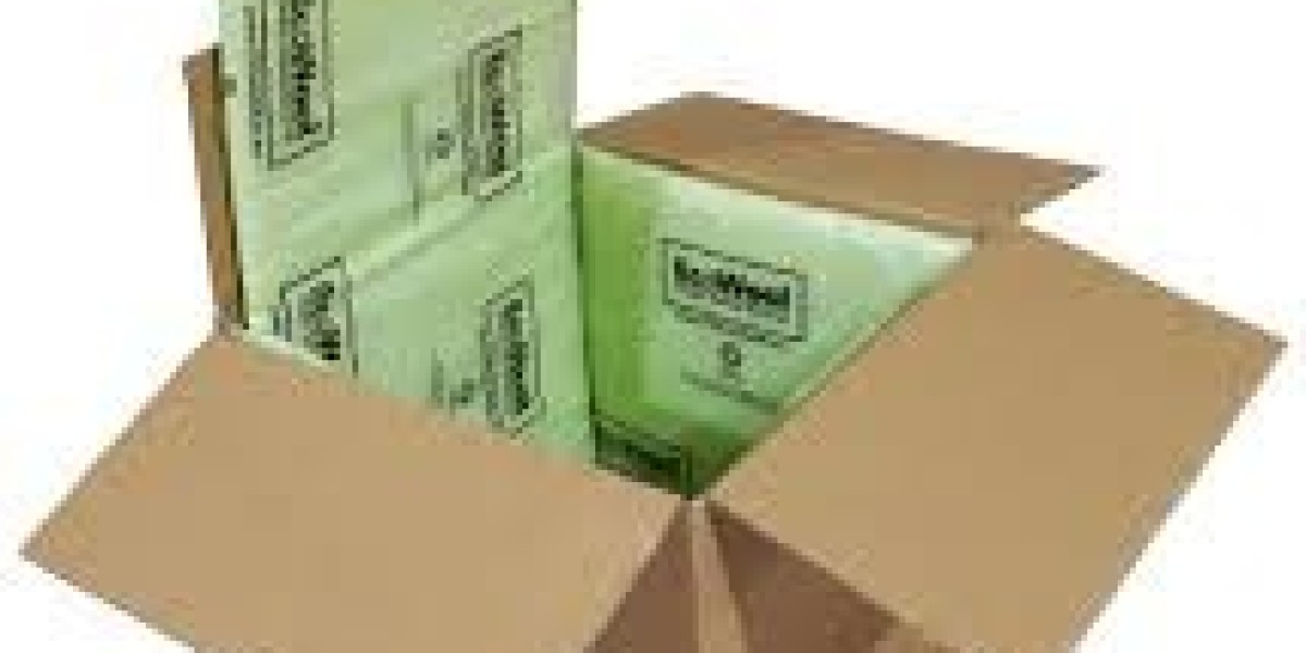 Global Insulated Packaging Market Size, Competitive Landscape & Future Outlook