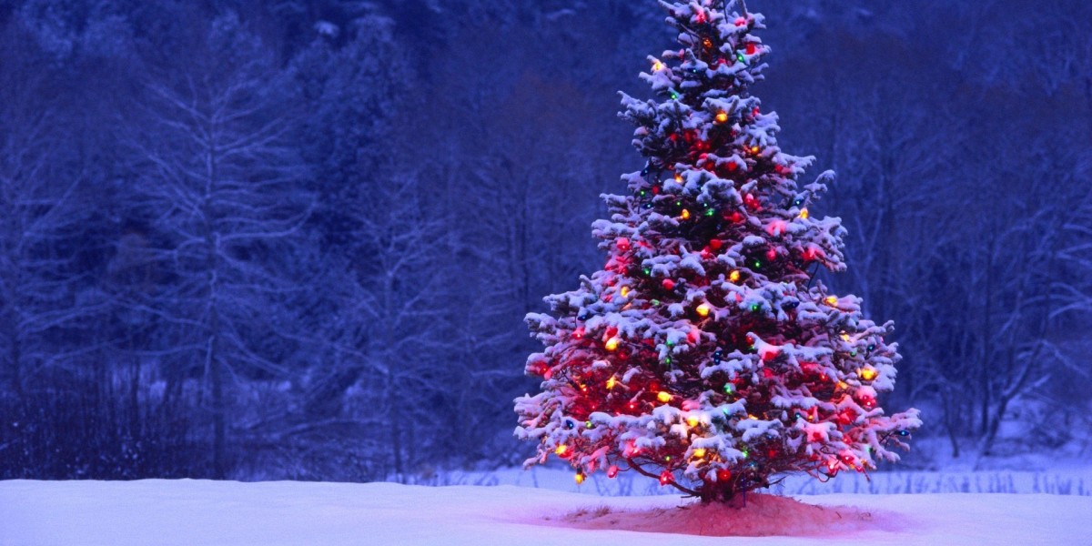 Creating Lasting Impressions with a Stunning 10 Feet Christmas Tree