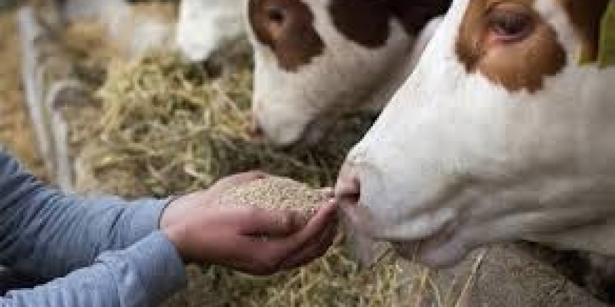 Animal Probiotics Market: Forecast, Innovations, and Emerging Trends