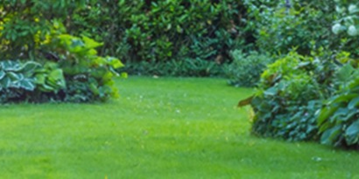 Garden Maintenance in Bronte – Professional Care for Your Outdoor Spaces
