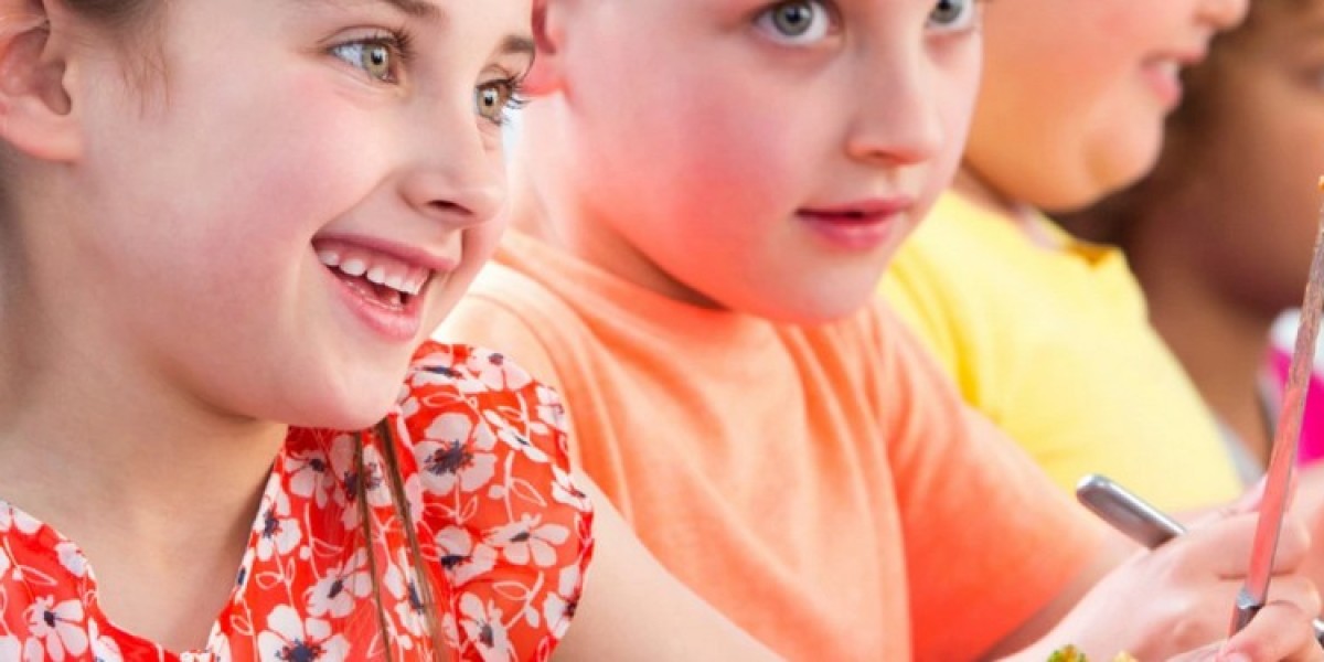 Is the Hot Lunch Menu For Schools in Toronto Filled With Adequate Nutrients?